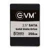 EVM 256GB INTERNAL SSD - EVM25-256GB