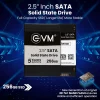 EVM 256GB INTERNAL SSD - EVM25-256GB