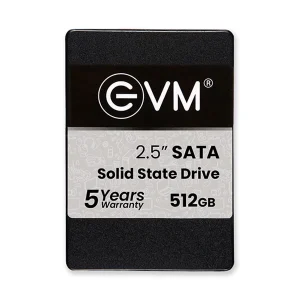 EVM 512GB INTERNAL SSD - EVM25-512GB