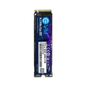 EVM 1TB M.2 NVME INTERNAL SSD -EVMNV/1TB