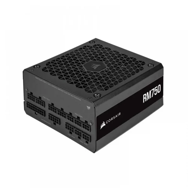 Corsair Rm Series Rm750 750 Watt 80 Plus Gold Certified Fully Modular Power Supply (Cp-9020234-In)