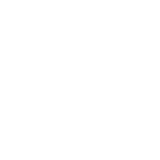 Plain white background with no visible content on the page